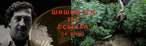 спайс Лагань