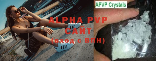 амф Ладушкин