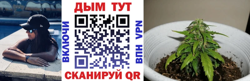 Купить где  Дятьково  Марихуана конопля 